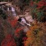 Greenville