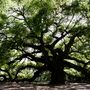 Charleston, SC, Estados Unidos