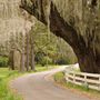 Charleston, SC, Estados Unidos
