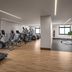 Gimnasio