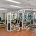 Gimnasio