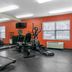 Gimnasio