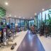 Gimnasio