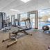 Gimnasio