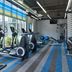 Gimnasio