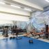 Gimnasio