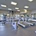 Gimnasio