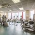 Gimnasio