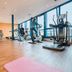 Gimnasio