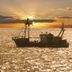Otro