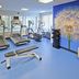 Gimnasio