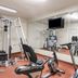 Gimnasio
