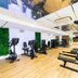 Gimnasio