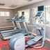 Gimnasio