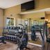 Gimnasio