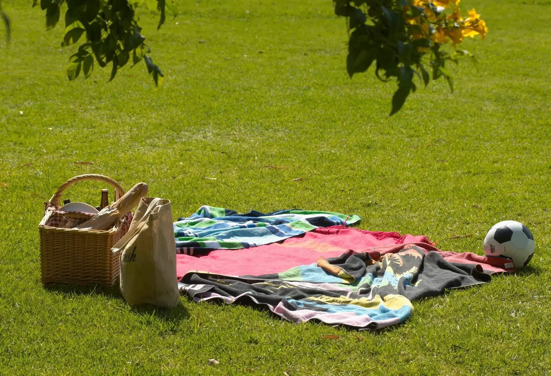 PICNIC