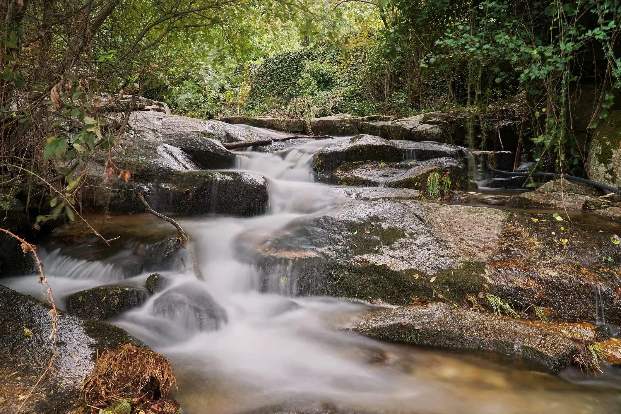 national park-waterfall