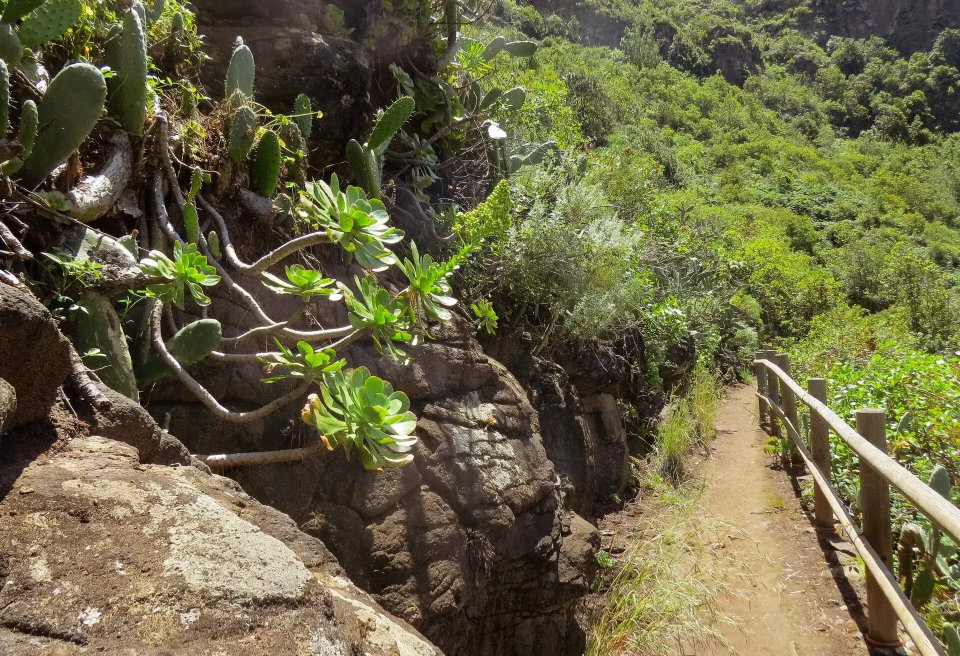 DEST_SPAIN_GRAN_CANARIA_LOS_TILOS_DE_MOYA_GettyImages