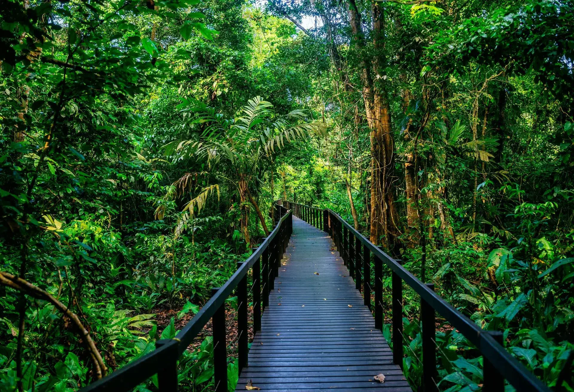 COSTA_RICA_CAHUITA_NATIONAL_PARK_WOODEN_PATHWAY