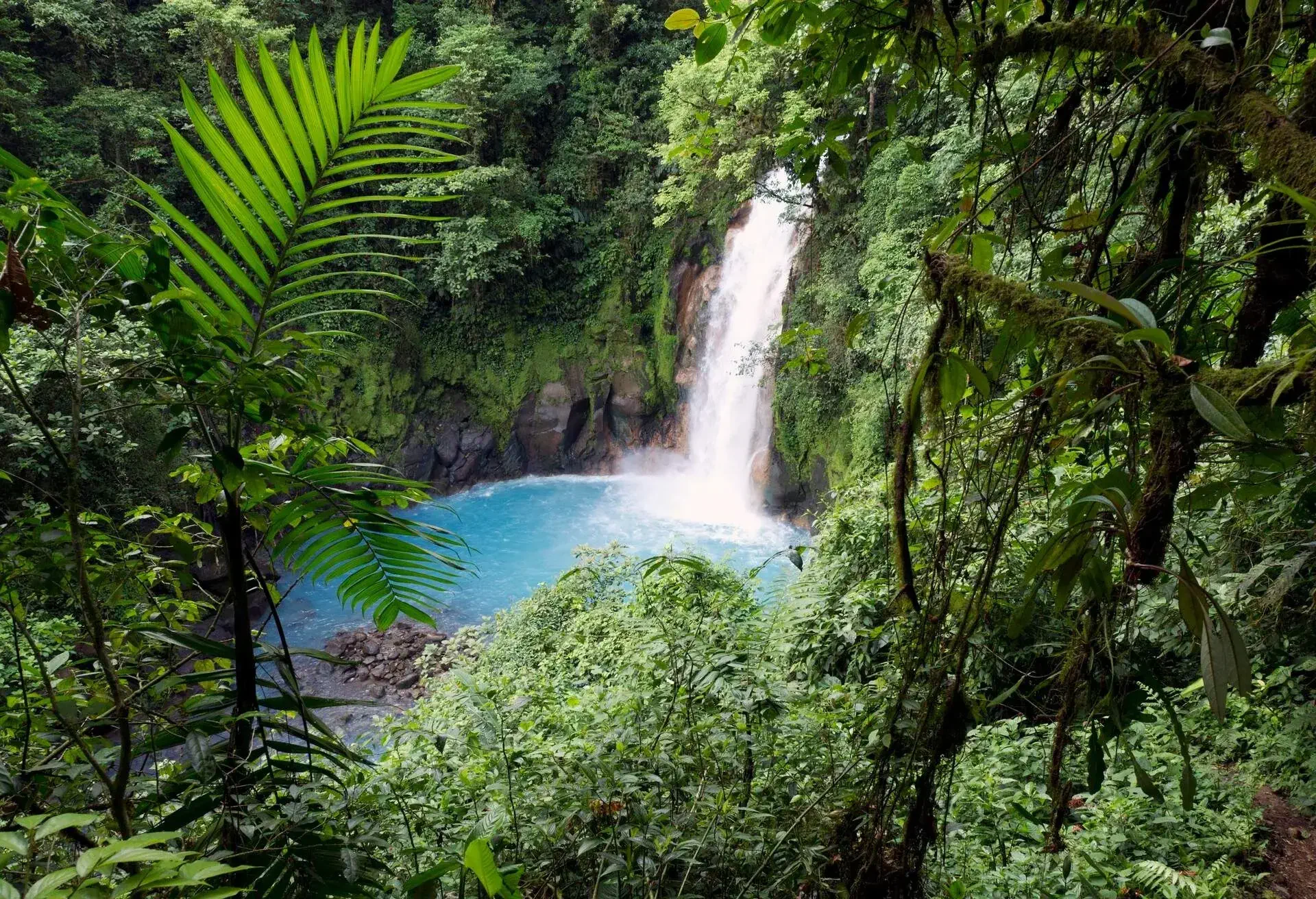 COSTA_RICA_RIO_CELESTE_TENORIO_NATIONAL_PARK