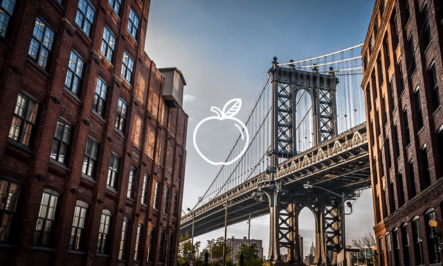 Nueva York: vista del puente