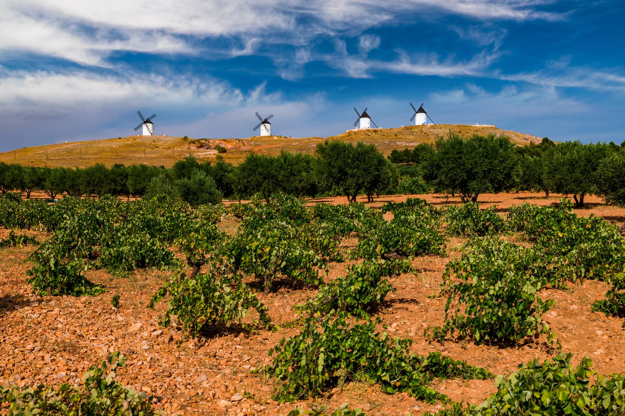 Pasa tu puente de octubre entre viñedos de La Mancha