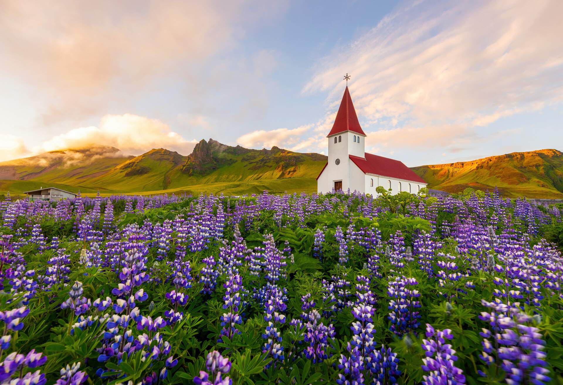 dest_iceland_vik_church_lupines_myrdal_gettyimages-1369887732_universal_within-usage-period_93577