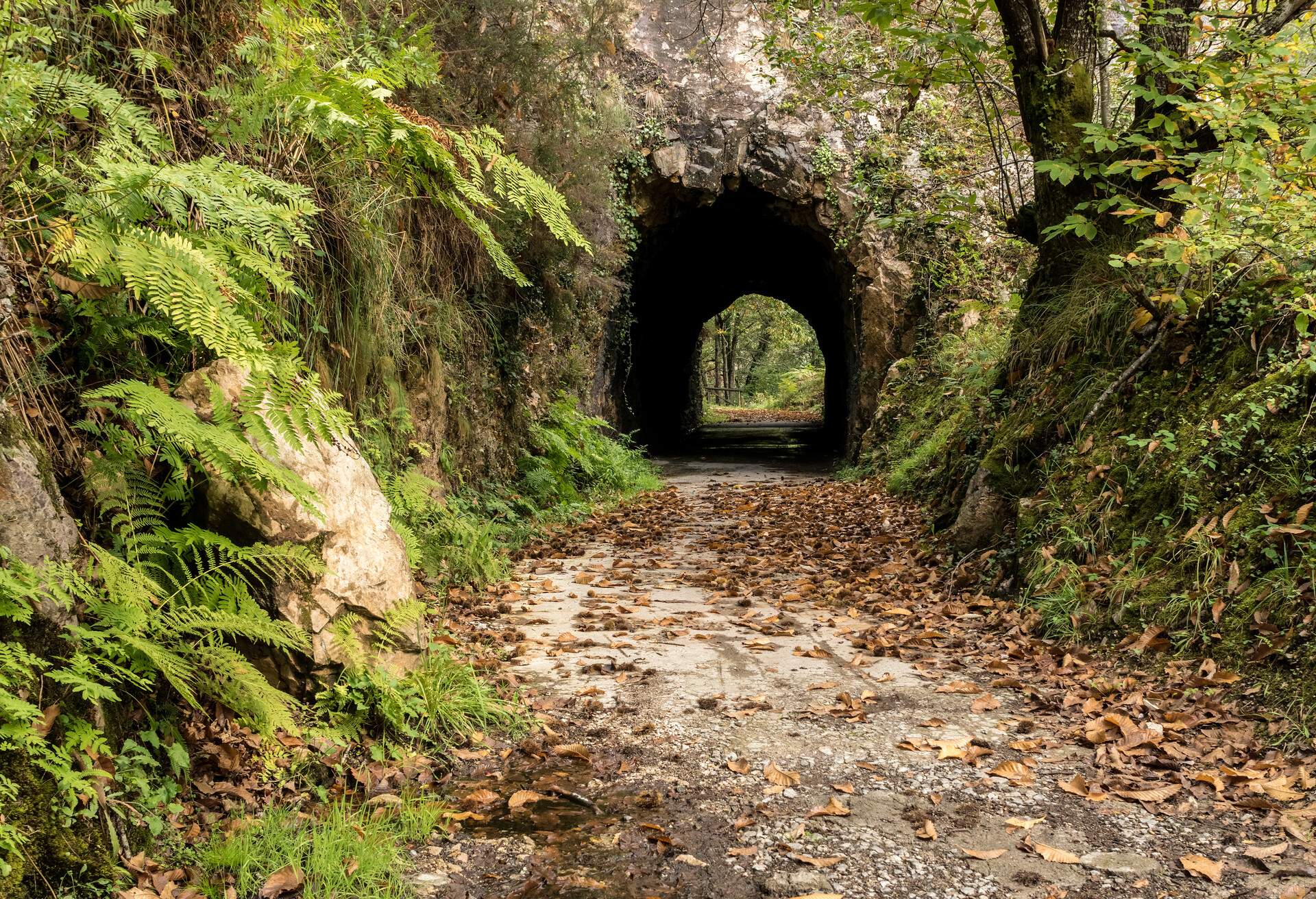 Tunnel in the Bear trekking way in autumn. Teverga, Asturias, Spain.