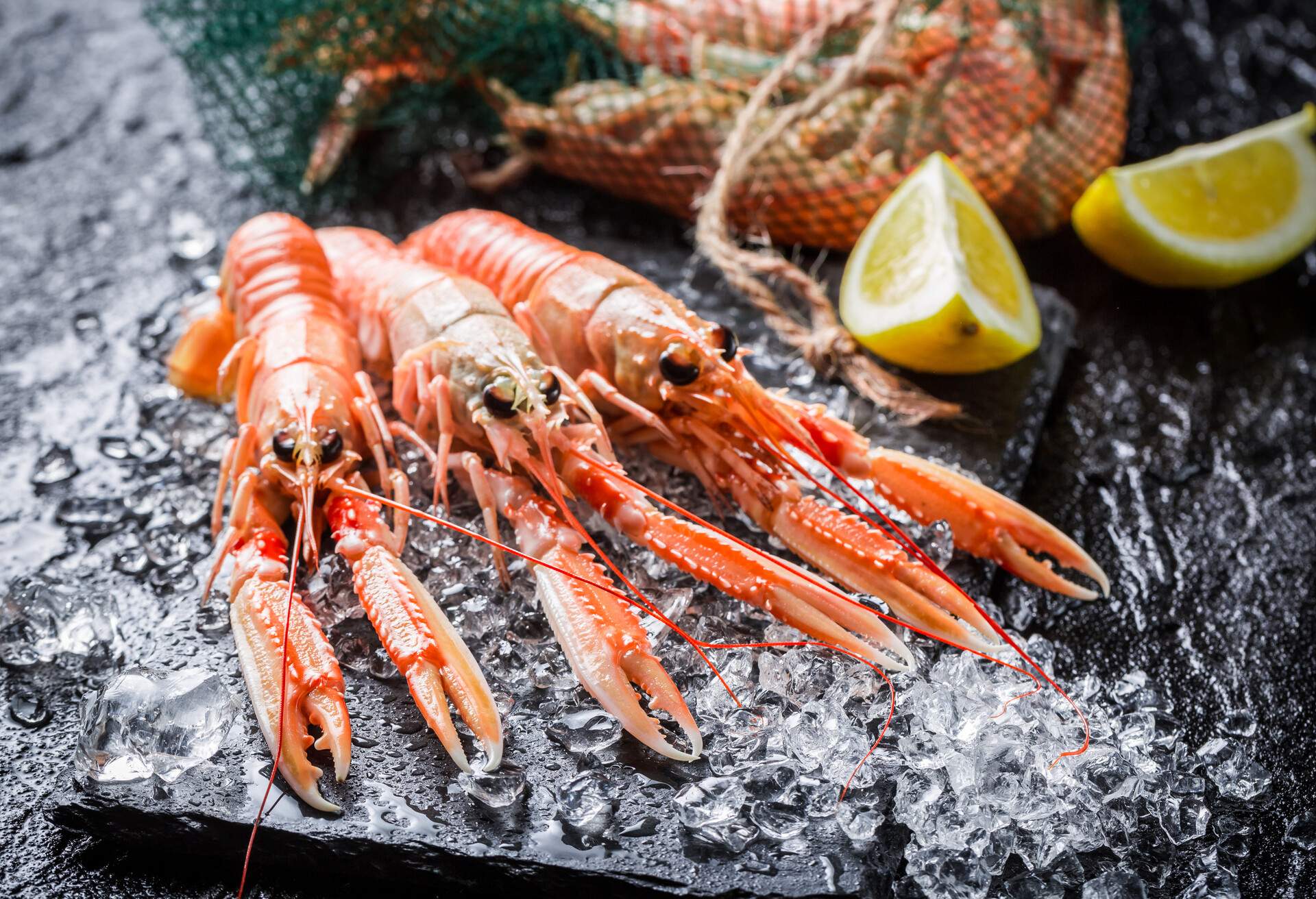 THEME_FOOD_SEAFOOD_LANGOUSTINES_GettyImages-545569850.jpg