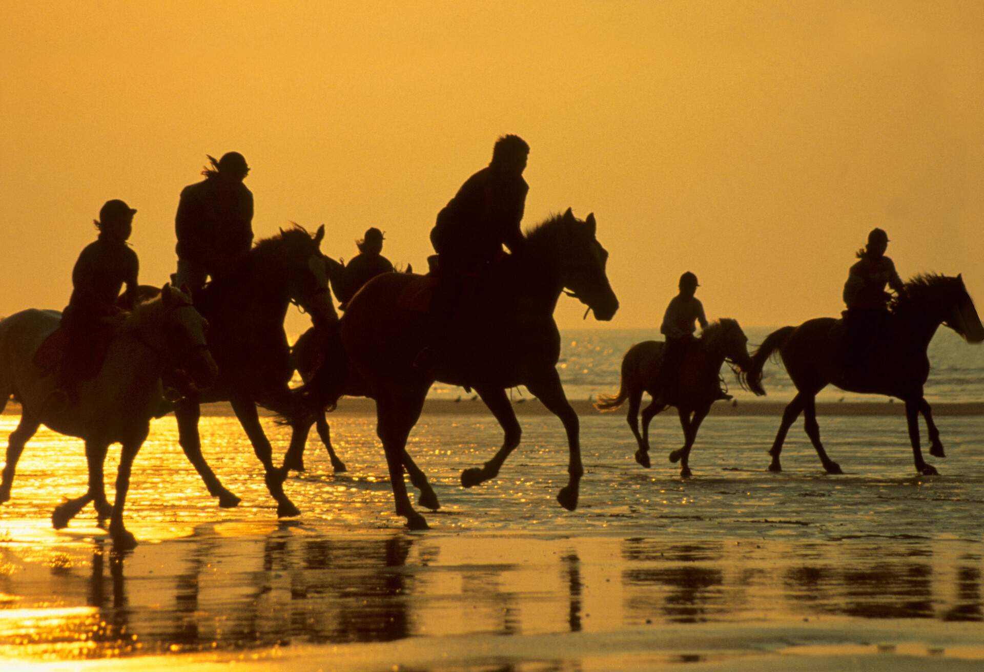dest_france_deauville-beach_theme_horses_riding_people-gettyimages-549820955_universal_within-usage-period_82026.jpg