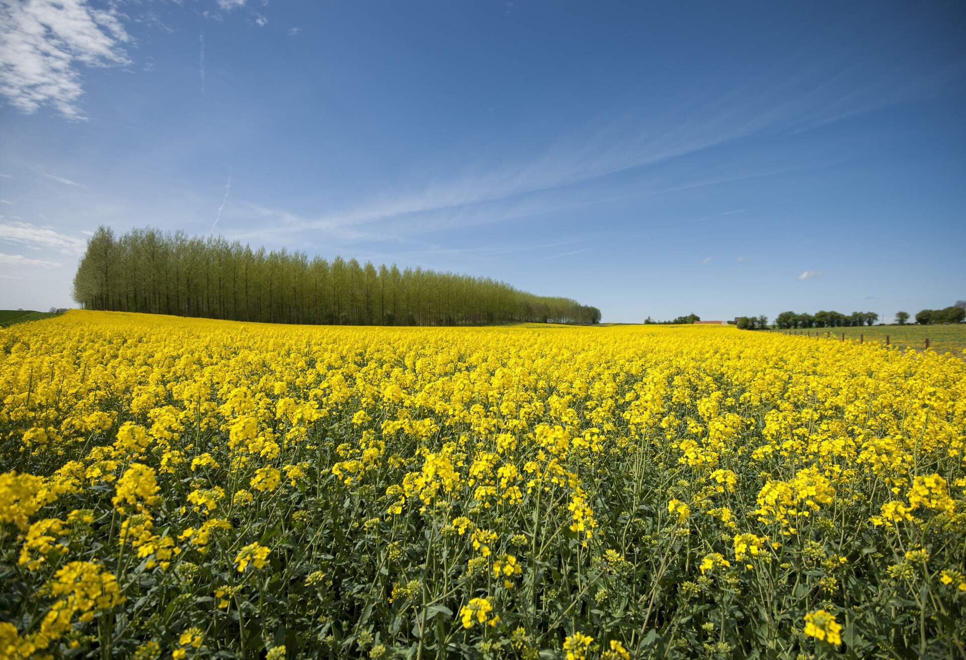 DEST_FRANCE_CAMBRAI