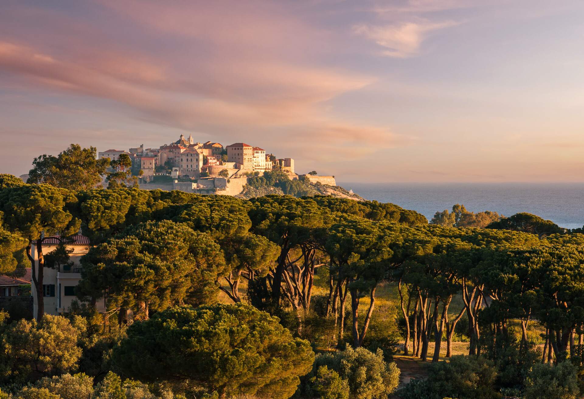 Early morning sun on the citadel of Calvi in the Balagne region of Corsica with pine trees in the foreground and the Mediterranean sea in the distance