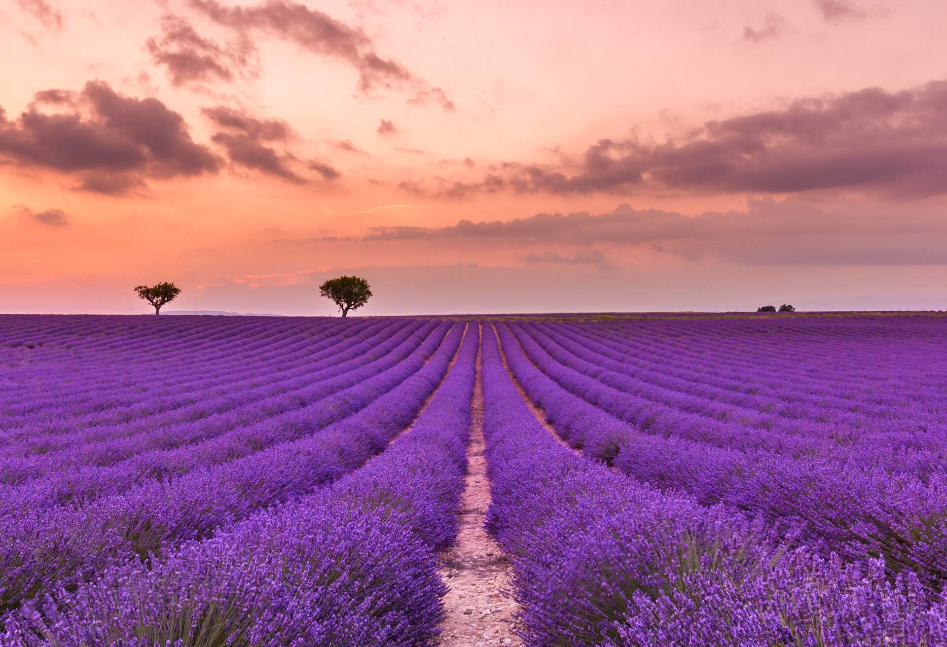 DEST_France_Provence_shutterstock_1133839712