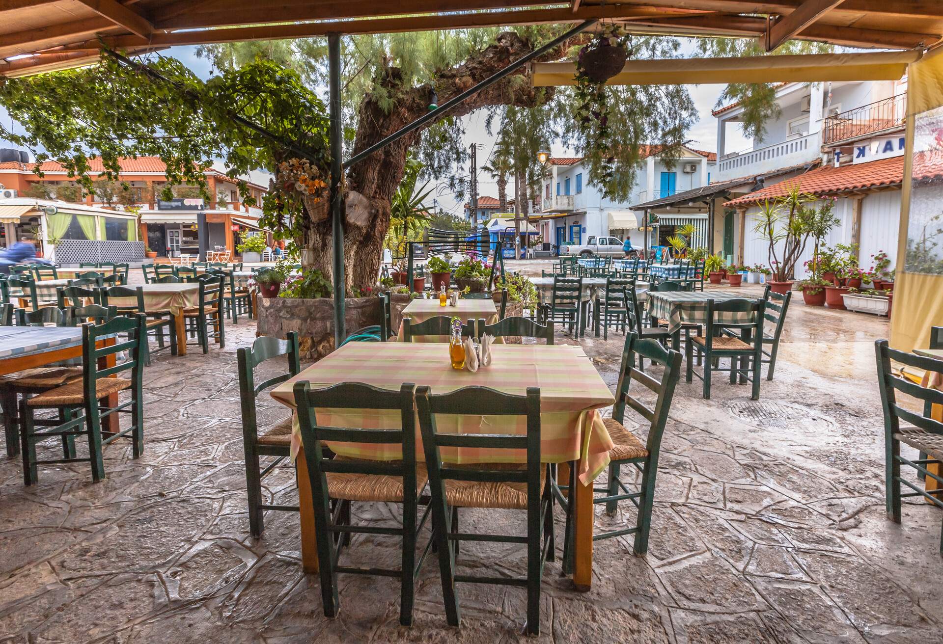 Traditional village restaurant terrace with wooden tables and chairs under a huge tree