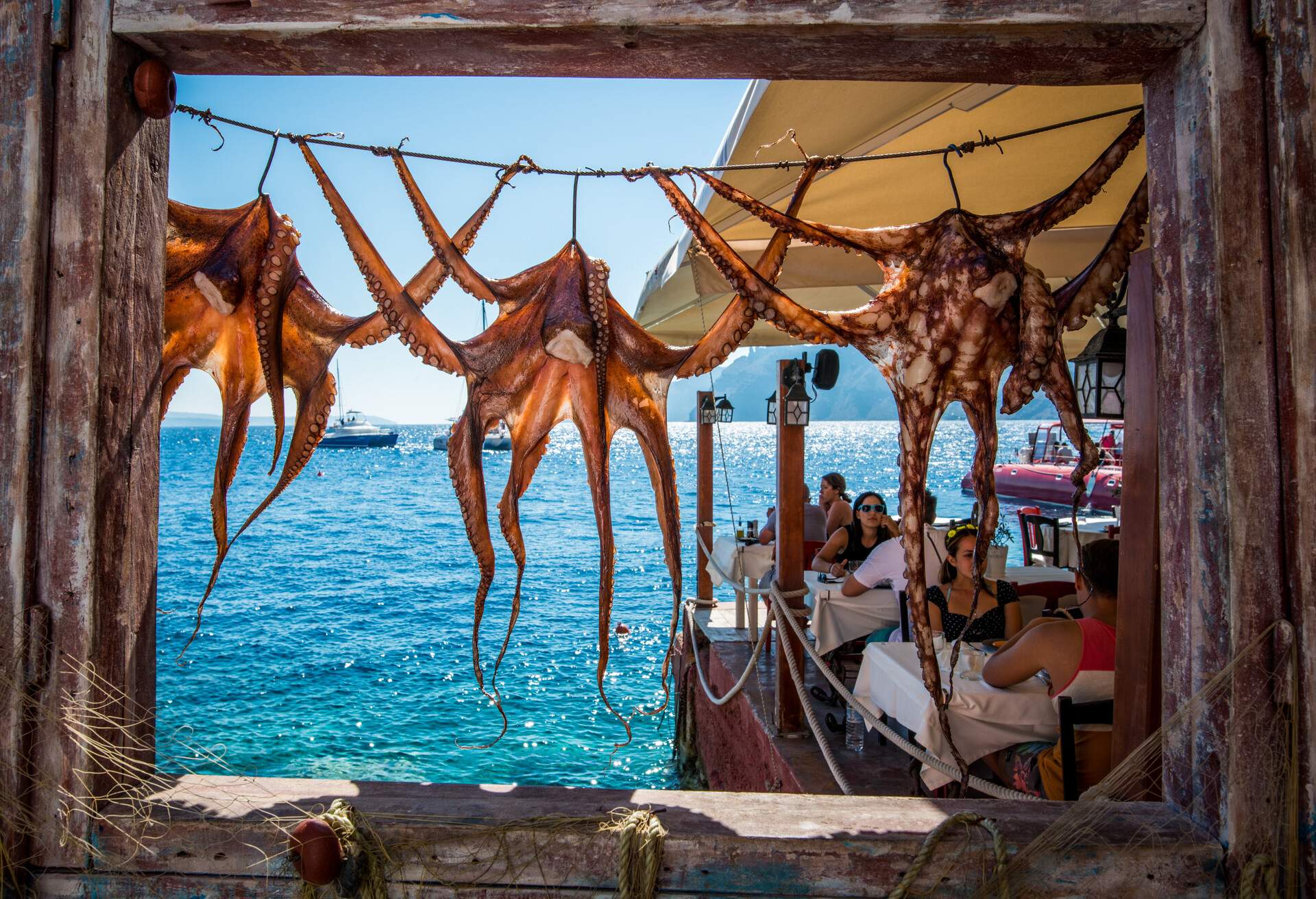 Octopus on display at the restaurant down by the Ammoudi bay port in Santorini