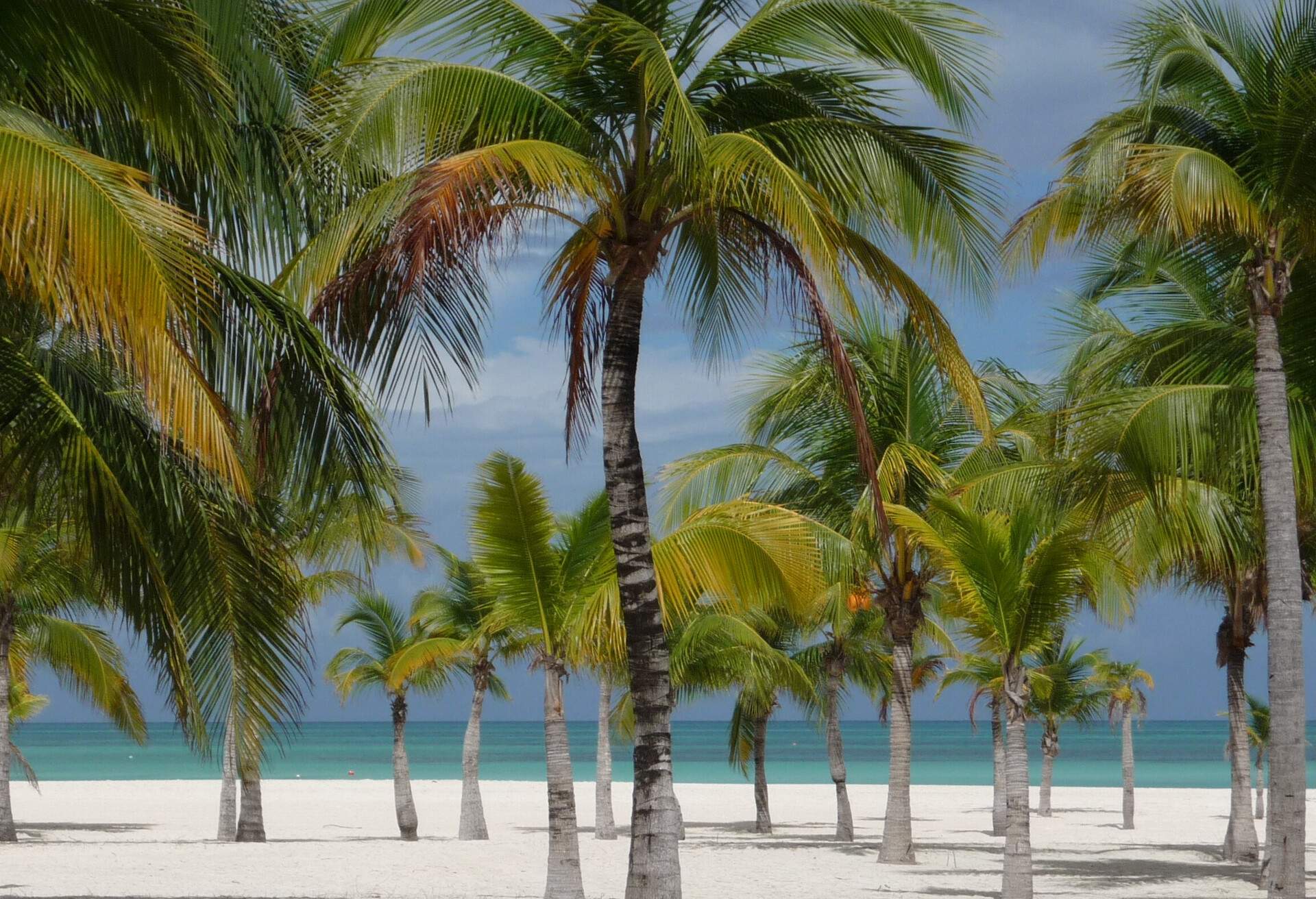 DEST_MEXICO_COZUMEL_ISLA-PASION_PASSION-ISLAND_GettyImages-827022376