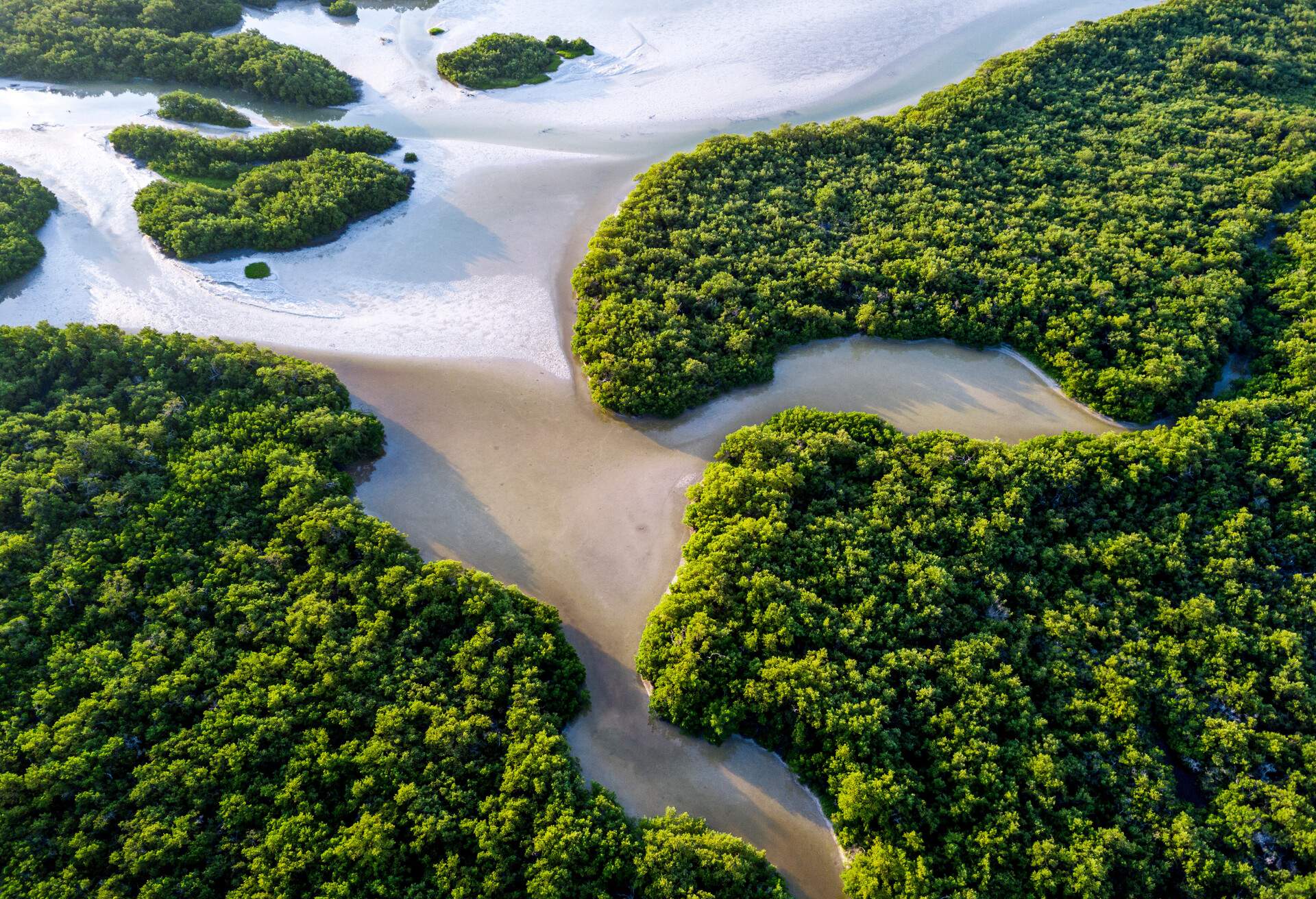 DEST_MEXICO_ISLA HOLBOX_shutterstock_1872286156