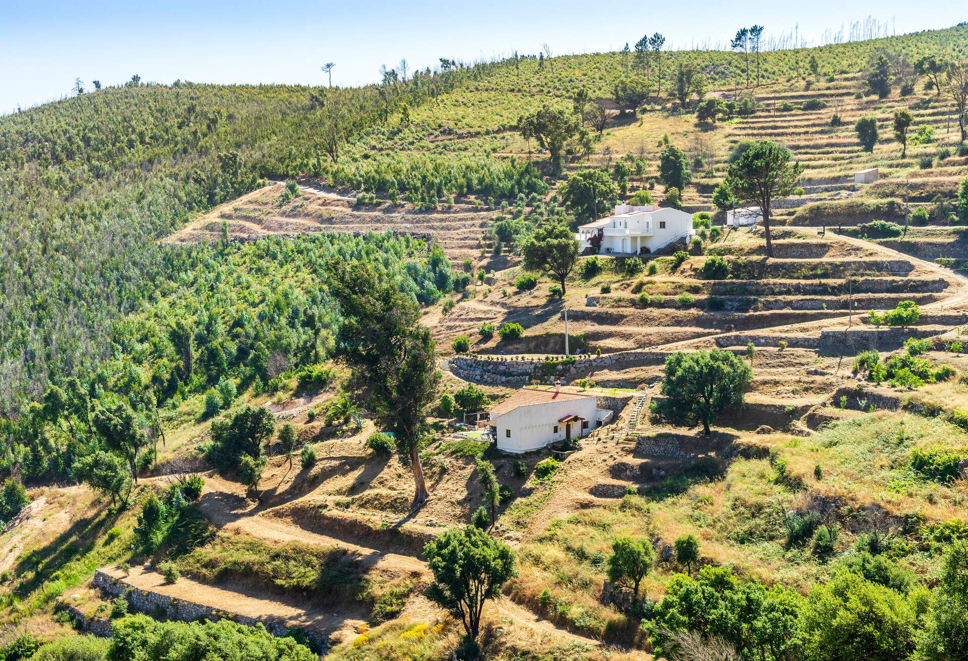 Beautiful landscape of terraced slopes in Sierra da Monchique, Algarve, Portugal