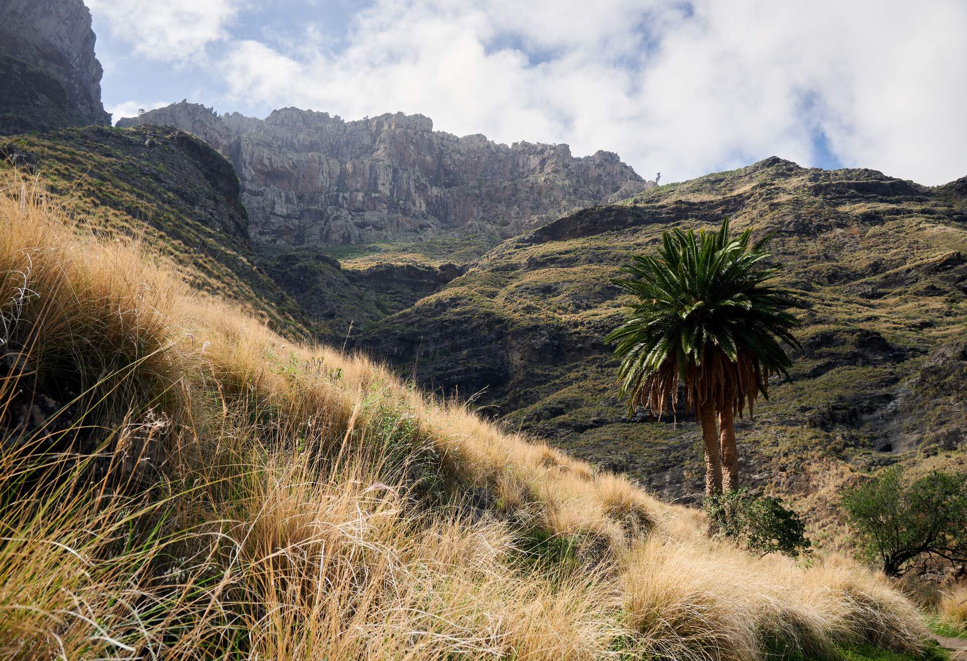 DEST_SPAIN_CANARY_ISLANDS_GRAN_CANARIA_Tamadaba-Natural_Park_GettyImages-1400834836