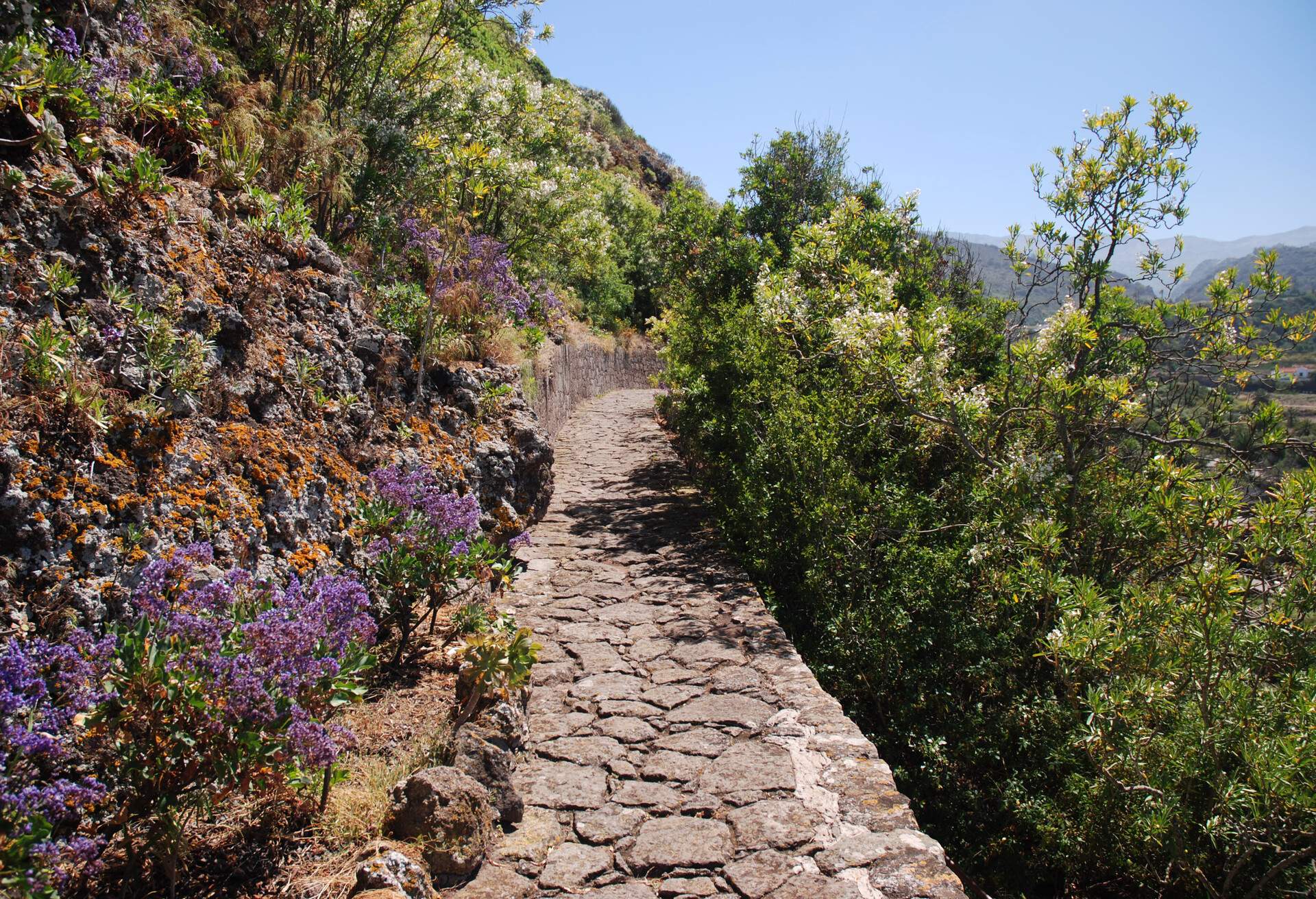 DEST_SPAIN_GRAN_CANARIA_JARDIN_CANARIO_GettyImages