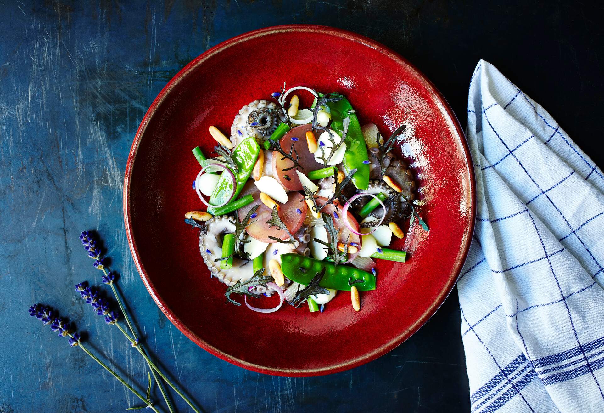 Octopus salad with green beans and onion. Red plate standing on the middle of the frame. Surface is a dark blue metal surface with a cloth on side.