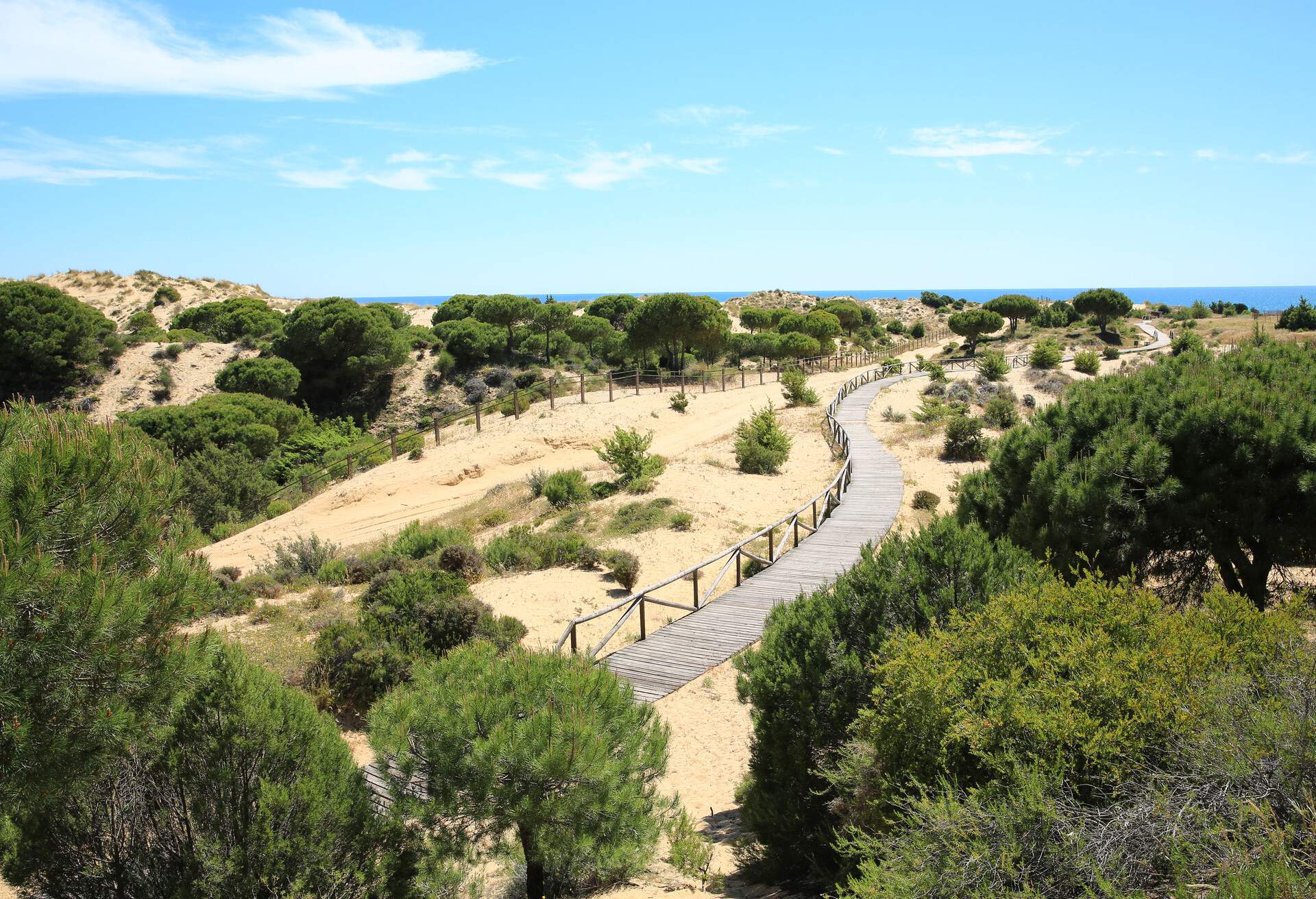 Path by the sea, Matalascanas near the Donana National Park in Andalusia, Spain; Shutterstock ID 1096565990