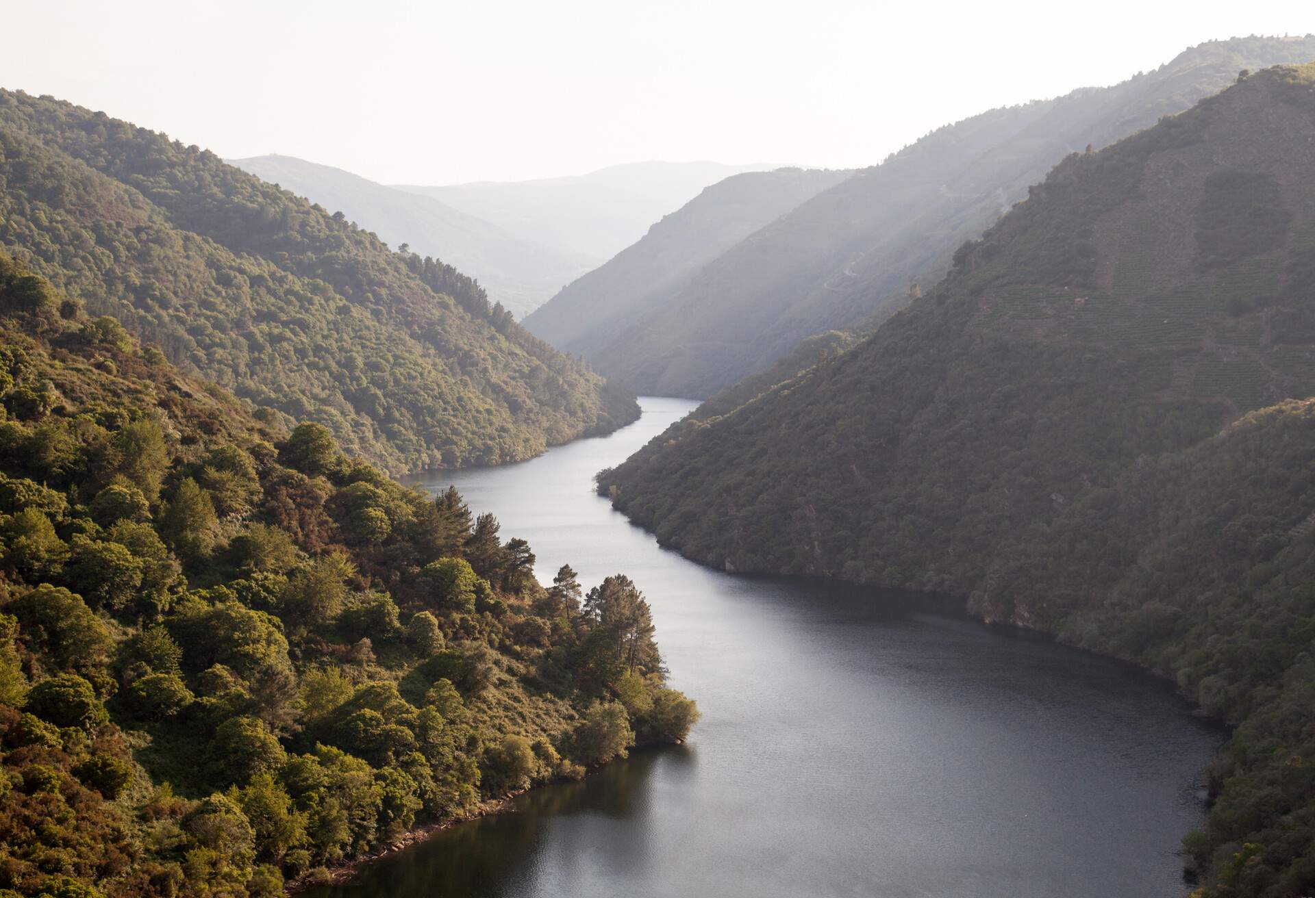 Sil river canyon, Ribeira Sacra, Lugo province, Galicia.