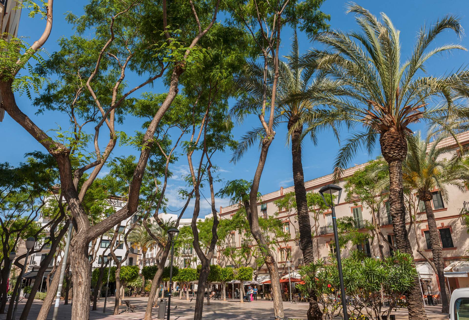 DEST_SPAIN_IBIZA_PASEO-VARA-DE-REY_GettyImages-541314436