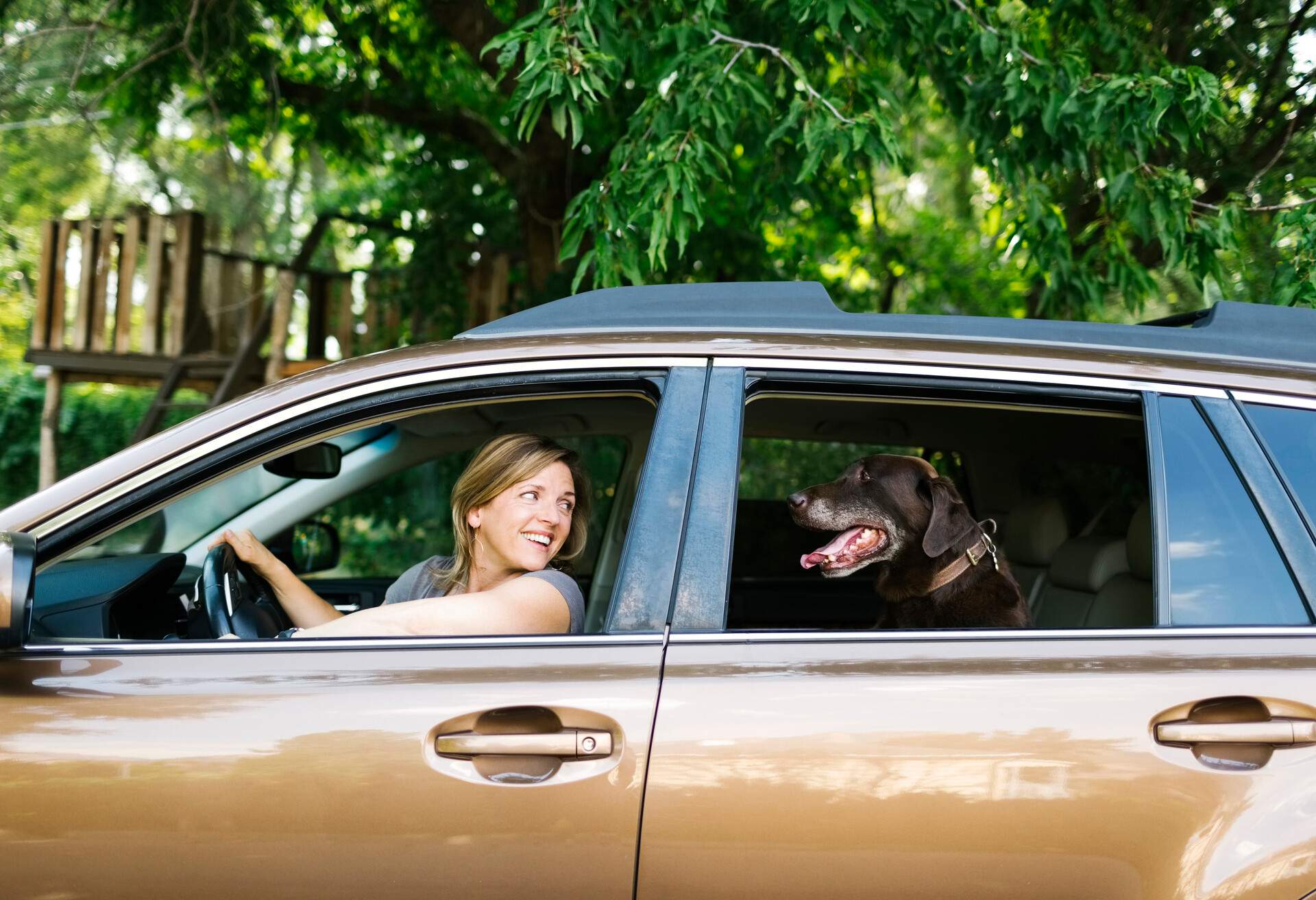 THEME_ANIMAL_DOG_CAR_PEOPLE_WOMAN_GettyImages