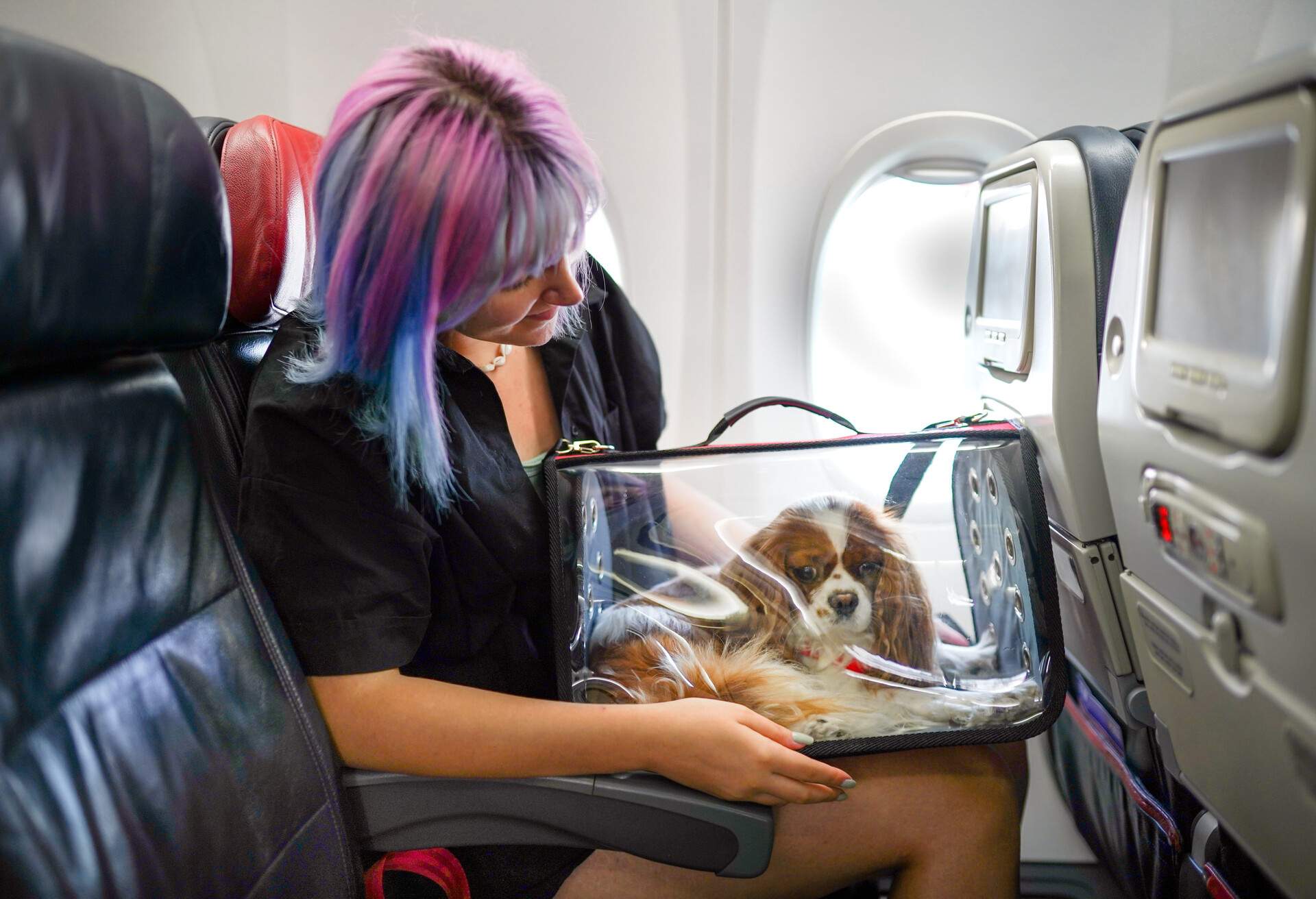 THEME_ANIMAL_DOG_PEOPLE_WOMAN_AIRPLANE_GettyImages