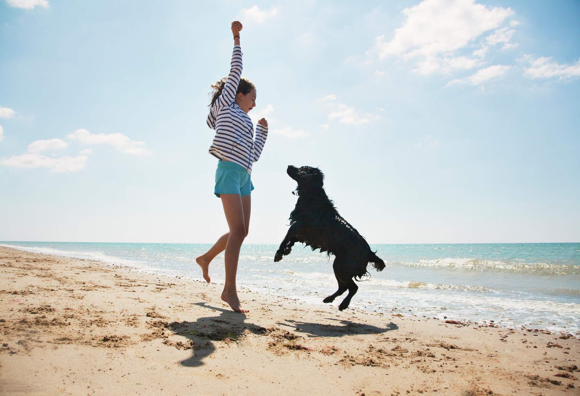 THEME_BECH_PETS_DOG_PEOPLE_GettyImages-130406053