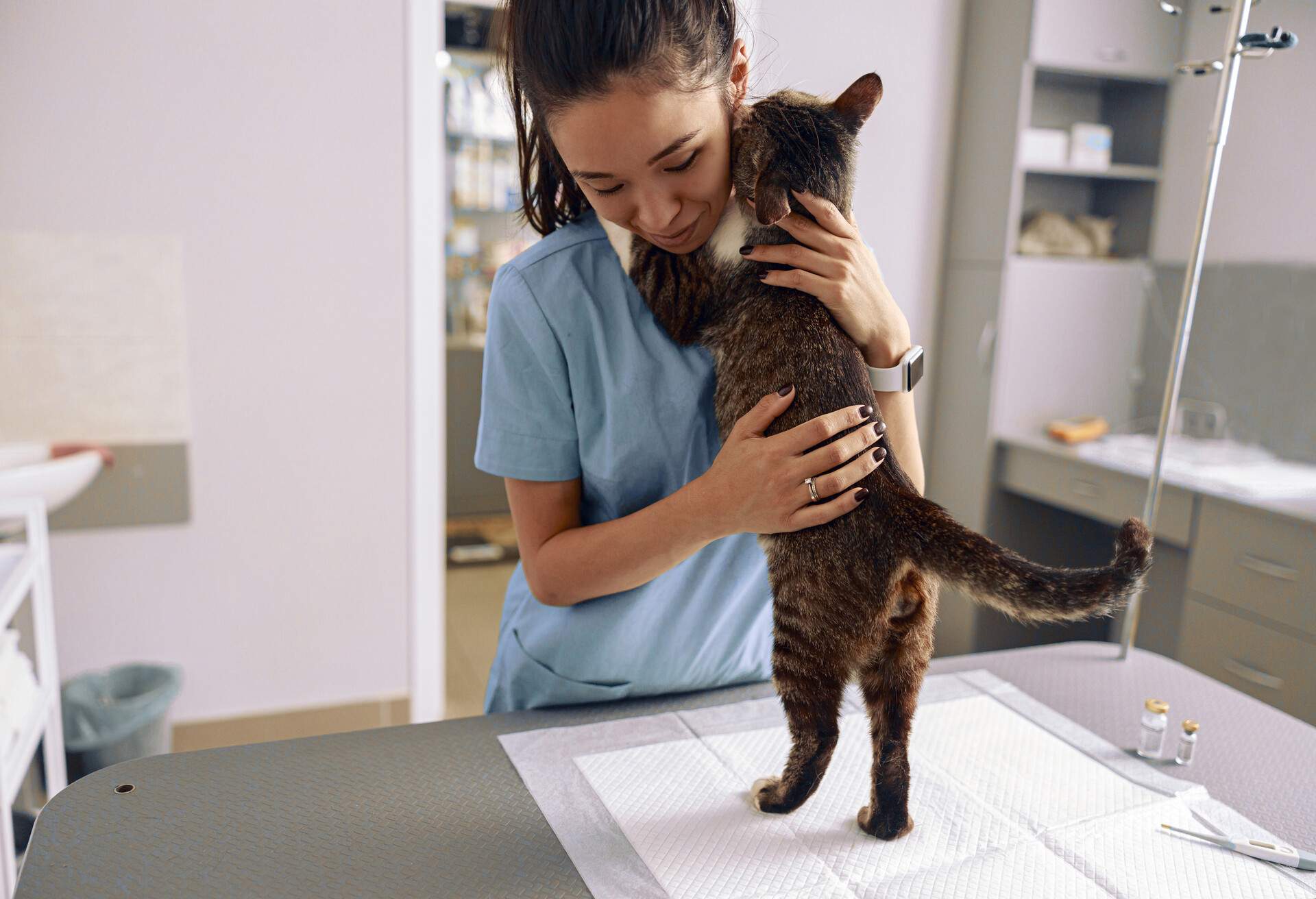 THEME_PEOPLE_WOMAN_VET_ANIMAL_CAT_GettyImages