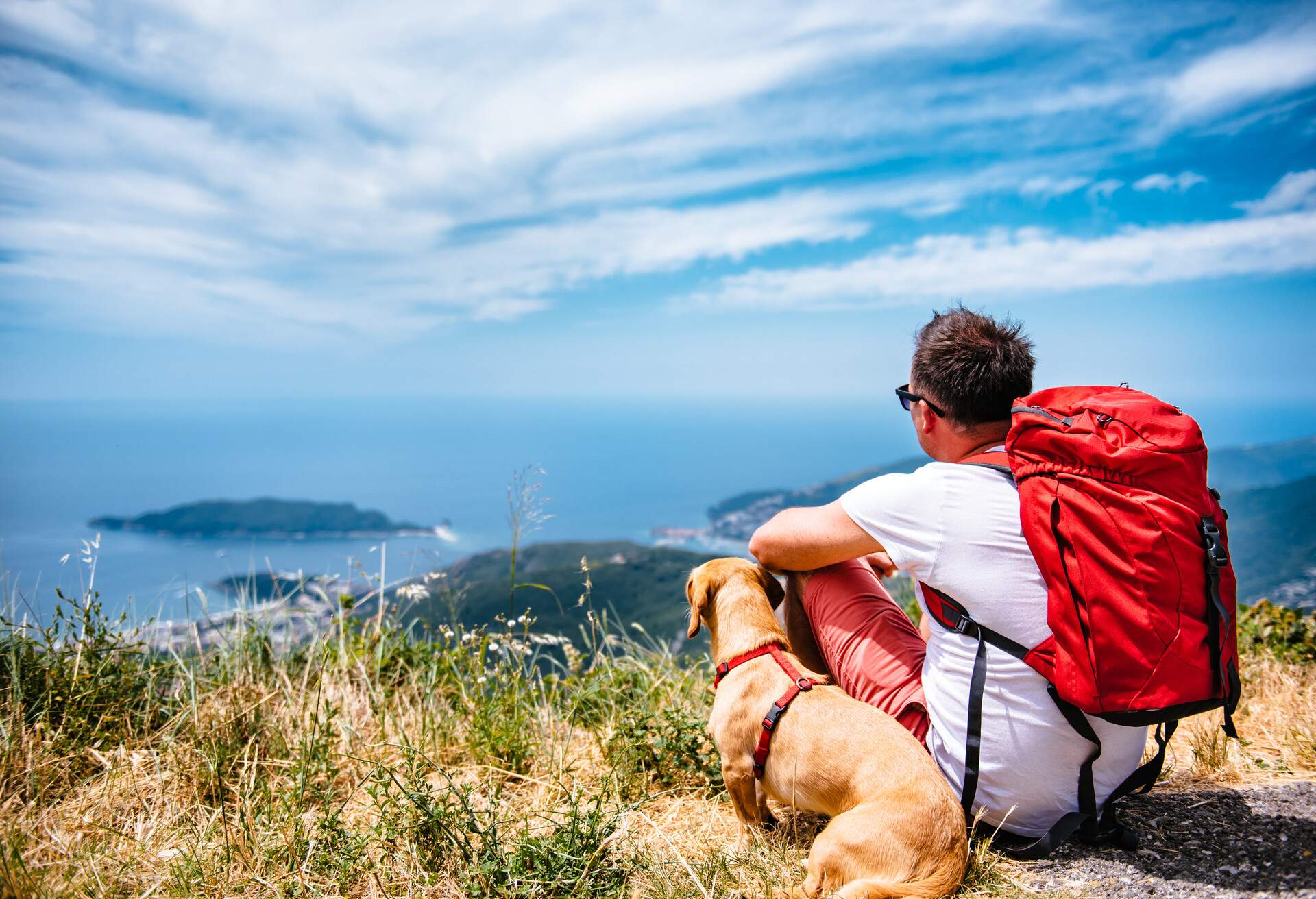 Man with red backpack and small yellow dog sitting on a mountain and looking at sea horizon; Shutterstock ID 459994852