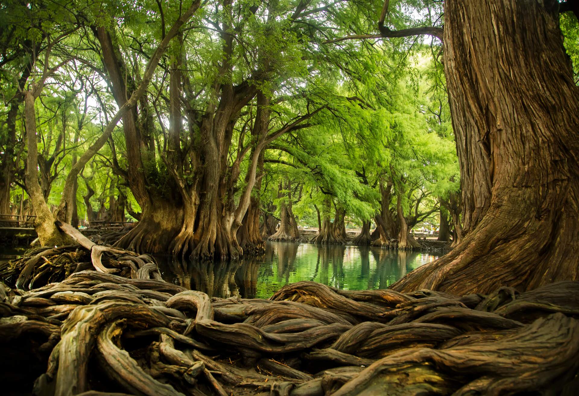 MEXICO_Camecuaro_Lake